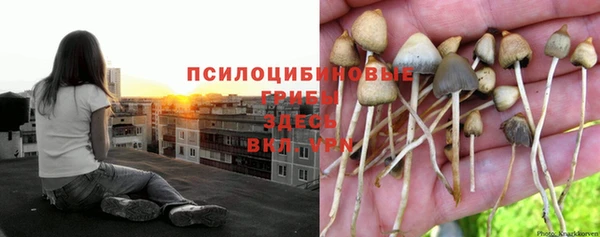 каннабис Лабытнанги