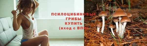 каннабис Лабытнанги