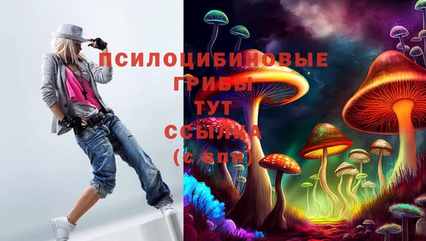 герыч Ладушкин